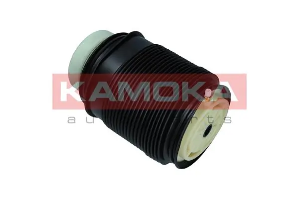 Air Spring, suspension 2079042