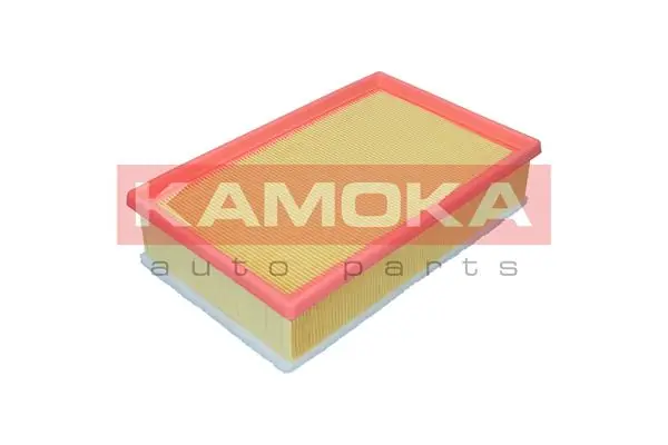 Air Filter F255201