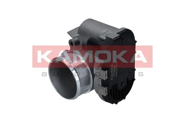 Throttle Body 112009
