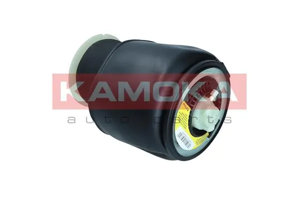 Air Spring, suspension 2079017