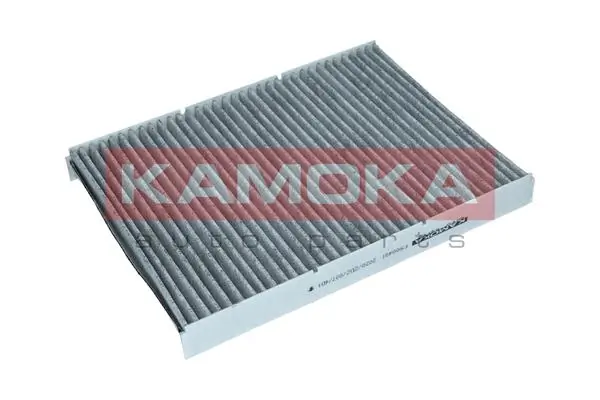 Filter, cabin air F500401