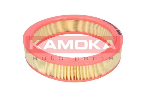 Air Filter F210901