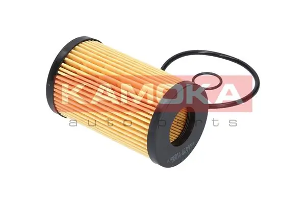 Oil Filter F106501
