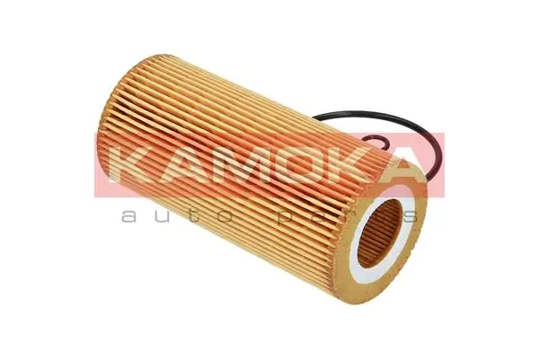 Oil Filter F108901