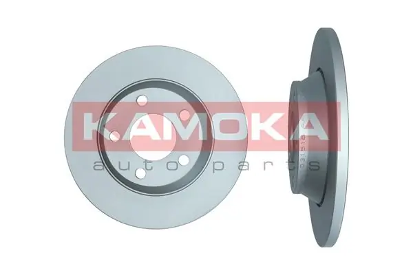 Brake Disc 1031518