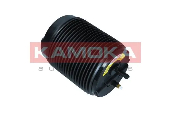 Air Spring, suspension 2079068