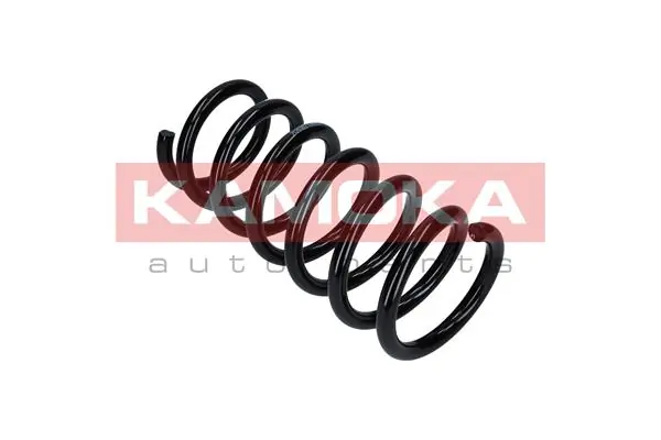 Suspension Spring 2120250