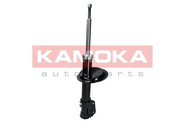Shock Absorber 2000299