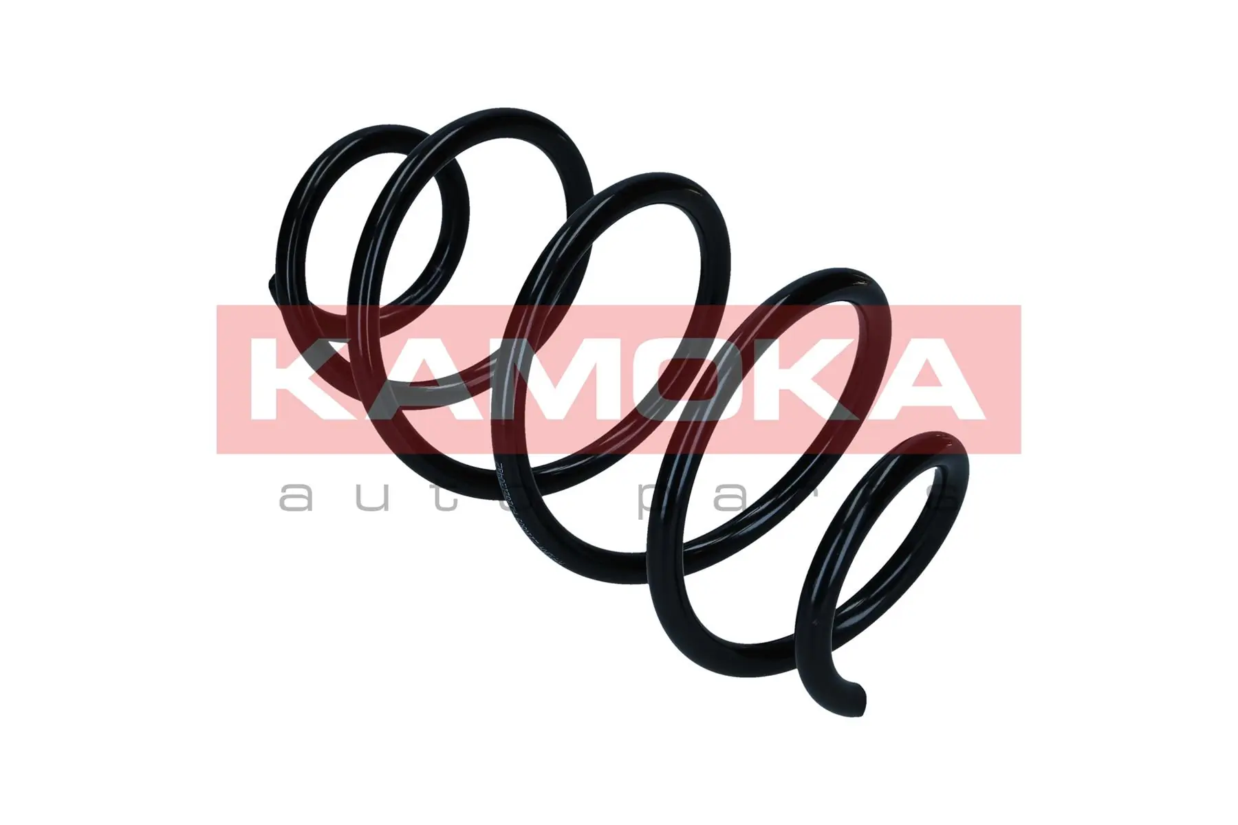 Suspension Spring 2110509