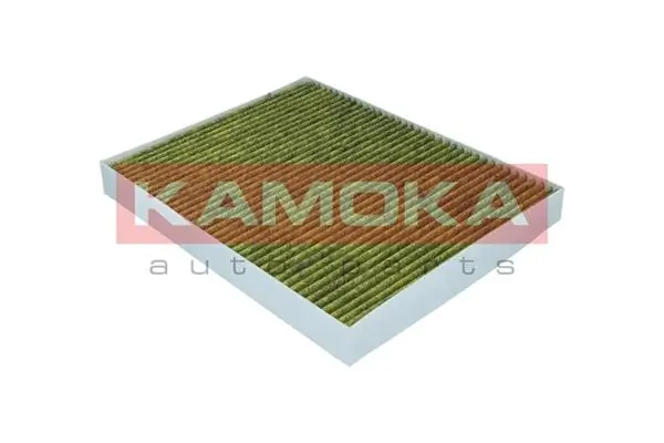 Filter, cabin air 6080110