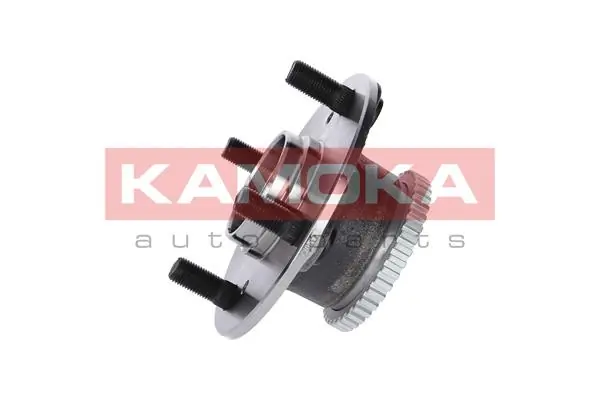Wheel Bearing Kit 5500043