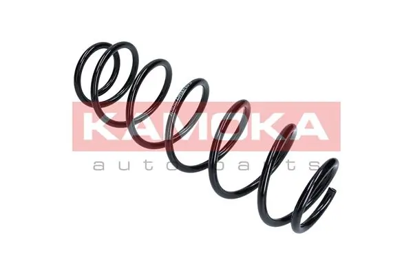 Suspension Spring 2120207