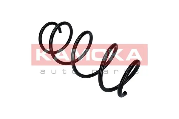 Suspension Spring 2110359