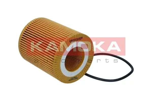 Oil Filter F123801