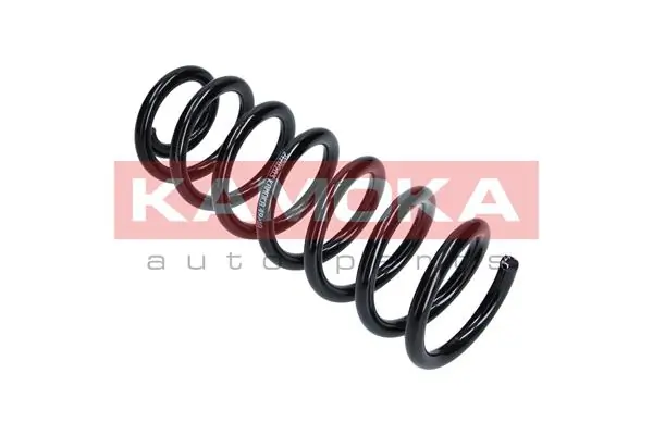 Suspension Spring 2120203