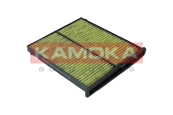 Filter, cabin air 6080096