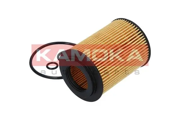 Oil Filter F111901