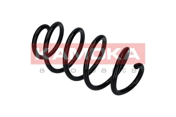 Suspension Spring 2110362