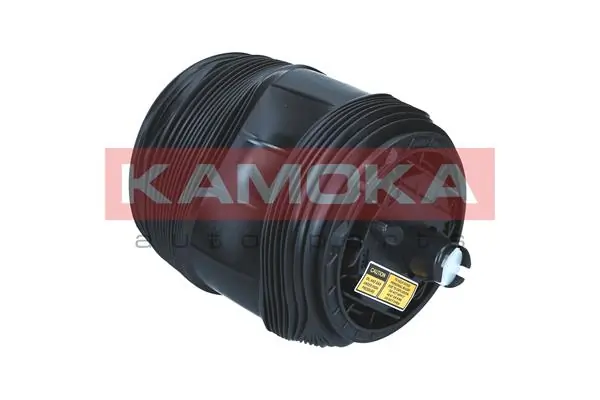 Air Spring, suspension 2079072