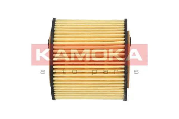 Oil Filter F103801