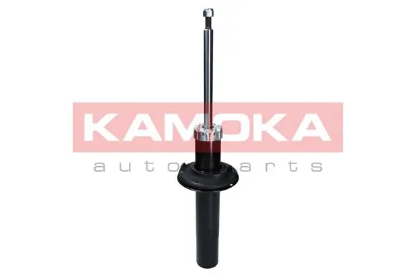 Shock Absorber 2000647