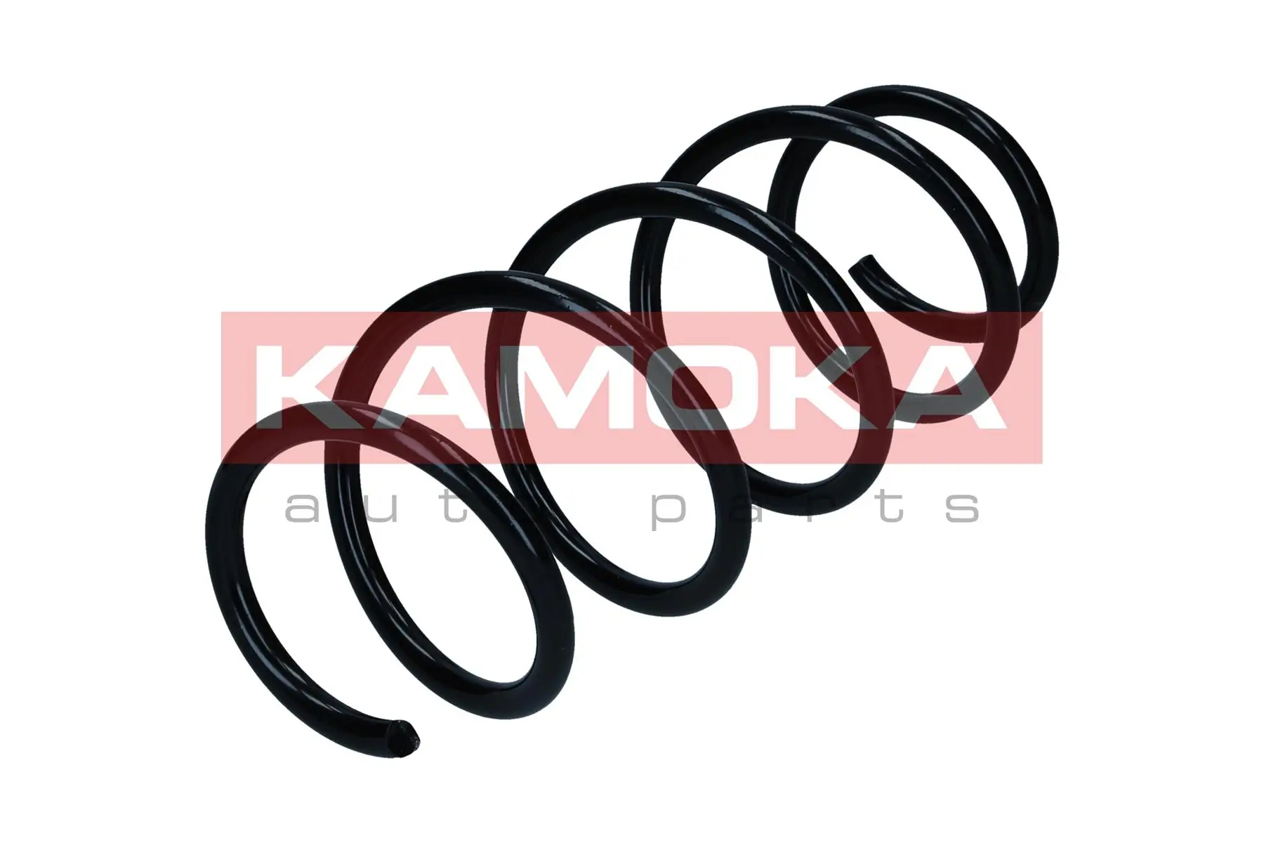 Suspension Spring 2110839