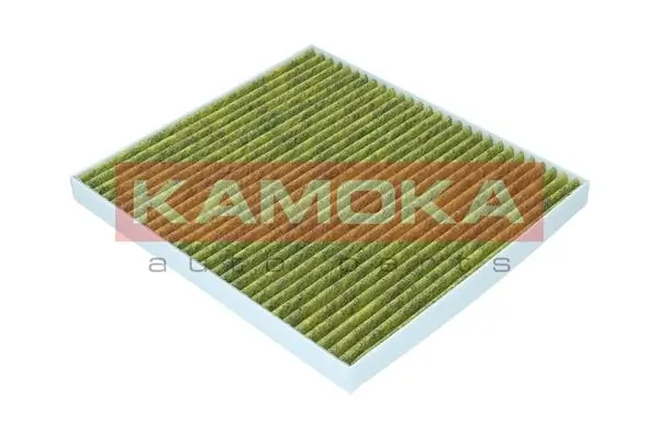 Filter, cabin air 6080135