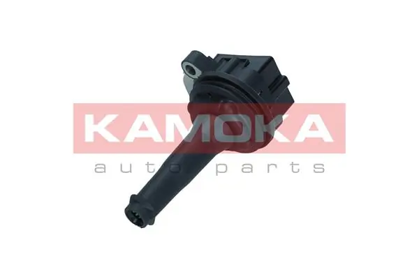 Ignition Coil 7120044