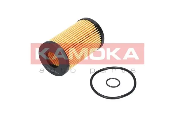 Oil Filter F105301