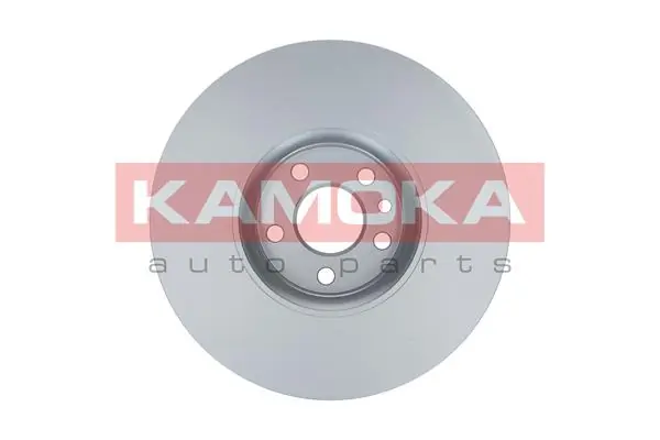 Brake Disc 103305