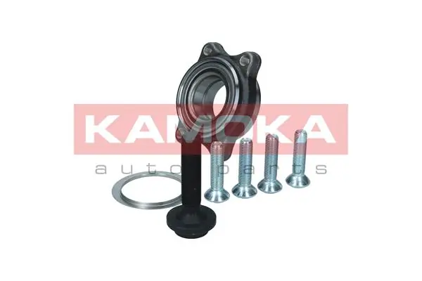Wheel Bearing Kit 5500176