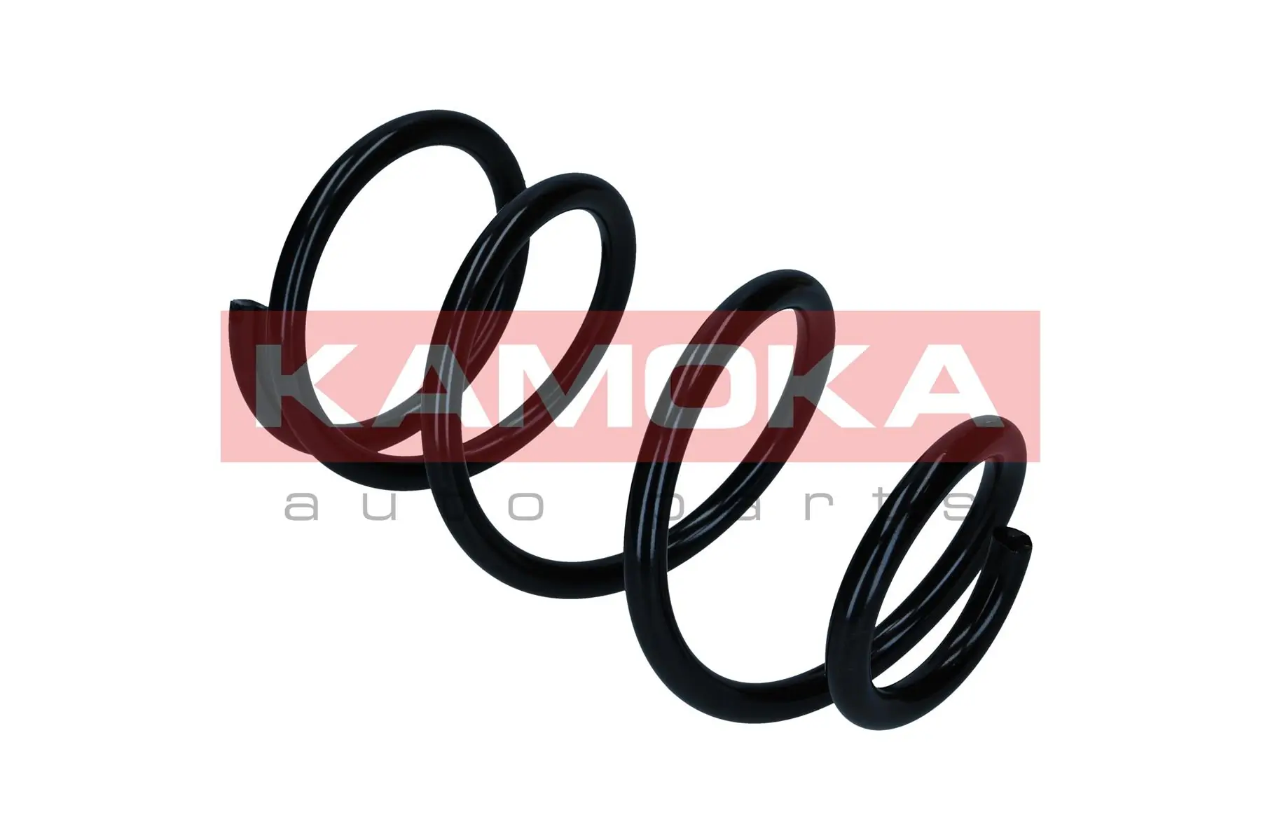 Suspension Spring 2110513