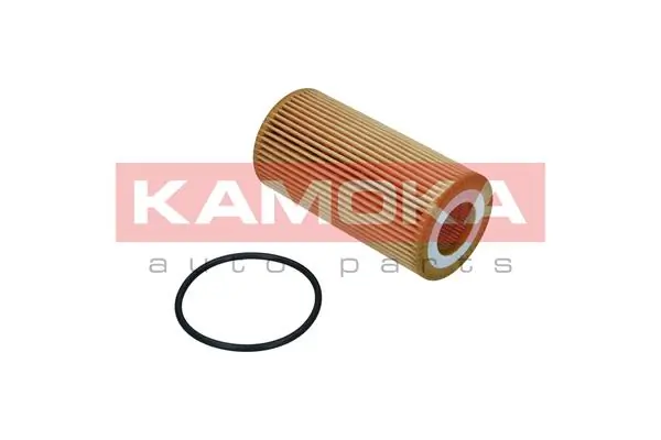 Oil Filter F116001