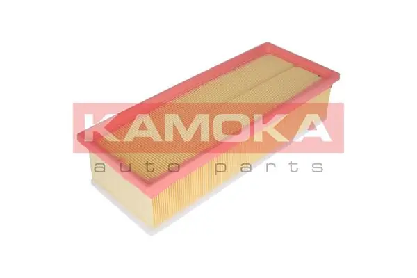 Air Filter F229701