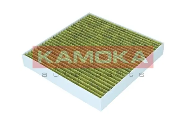 Filter, cabin air 6080186