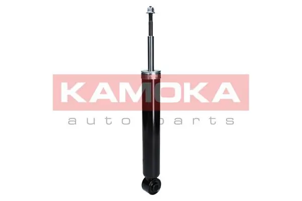 Shock Absorber 2000925