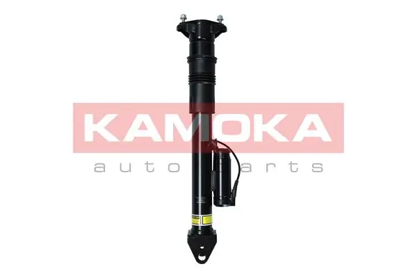 Air Suspension Strut 2070017