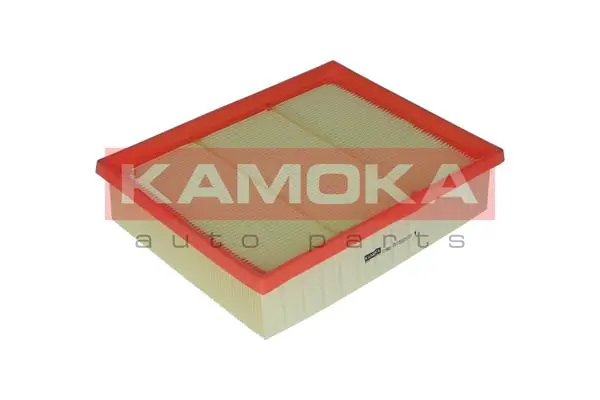 Air Filter F219801