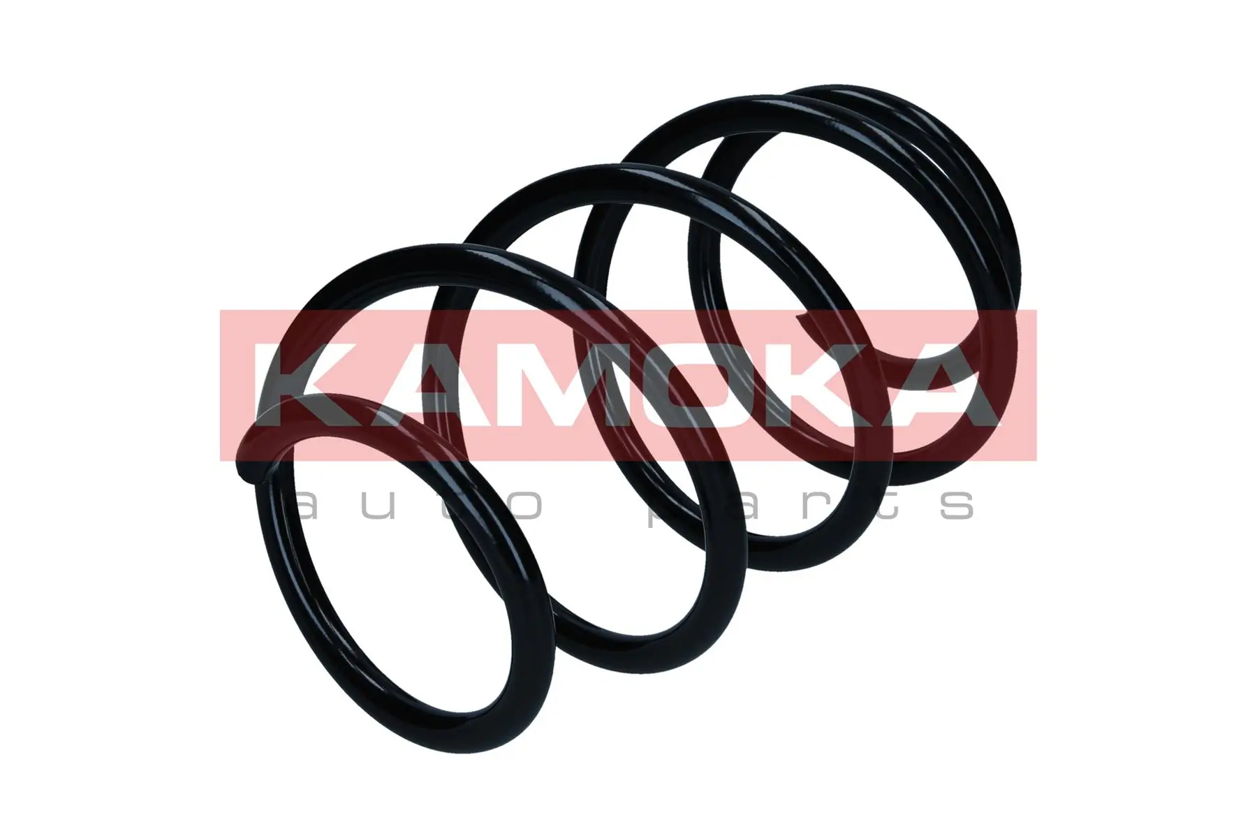 Suspension Spring 2110733