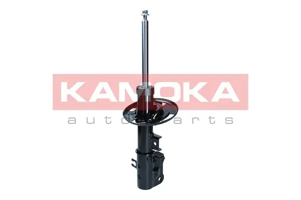 Shock Absorber 2001079