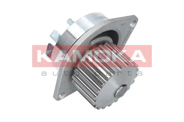 Water Pump, engine cooling T0079