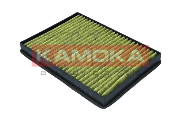Filter, cabin air 6080119