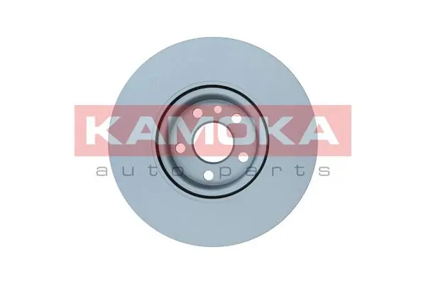 Brake Disc 103009