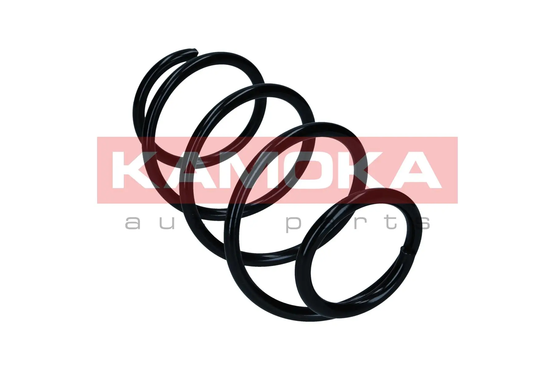 Suspension Spring 2110568