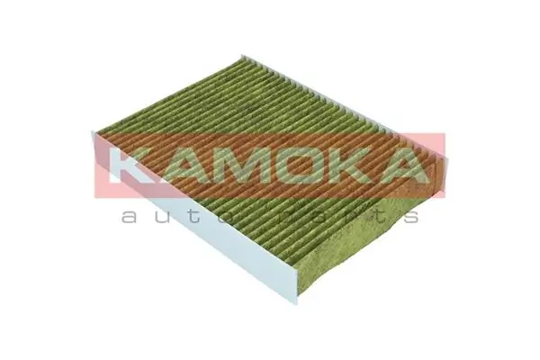 Filter, cabin air 6080059