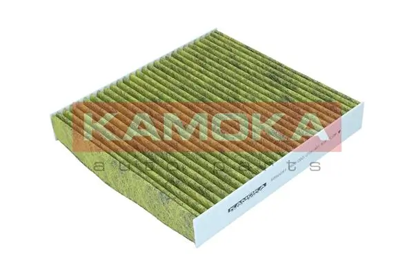 Filter, cabin air 6080091