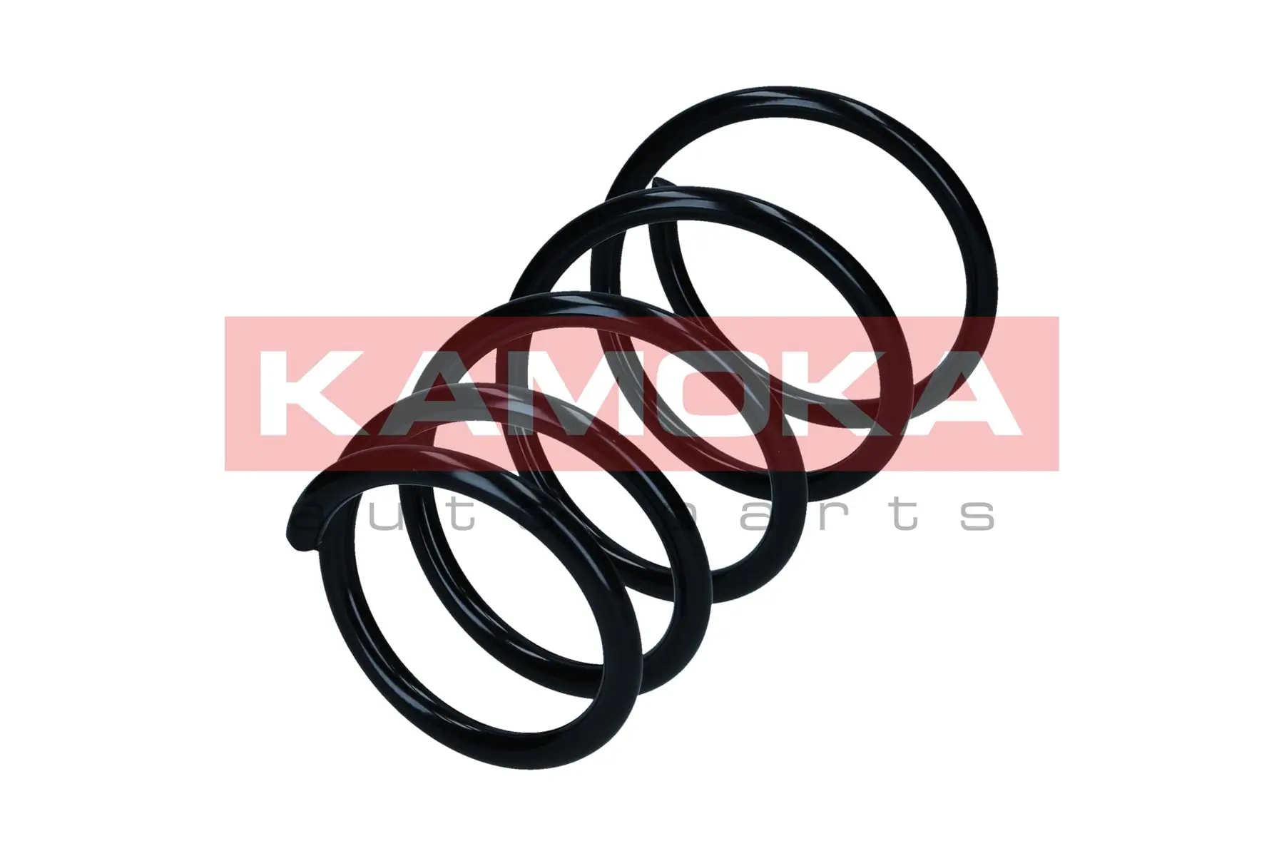 Suspension Spring 2110671