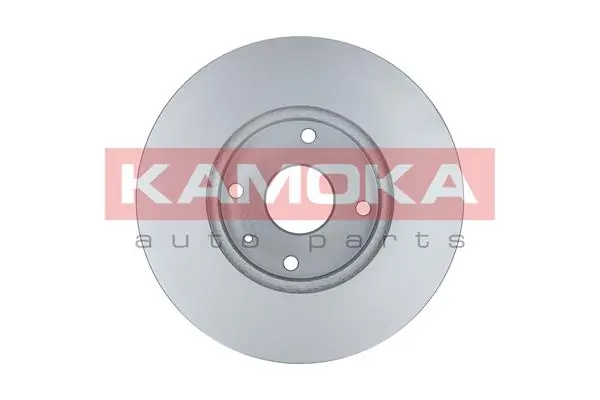 Brake Disc 103249