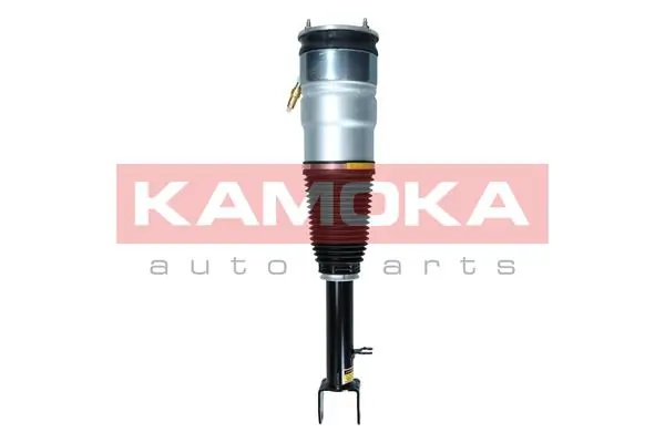 Air Suspension Strut 2070005