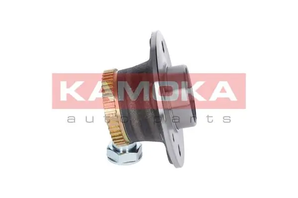 Wheel Bearing Kit 5500001